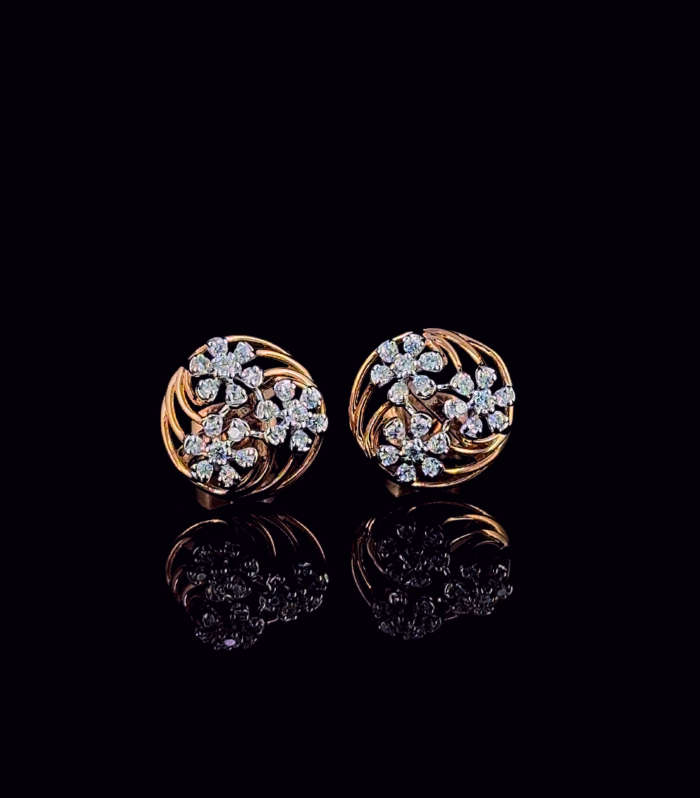 Pankhuri Radiance Stud Earrings