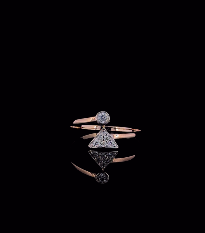 Geometric Flow Ring